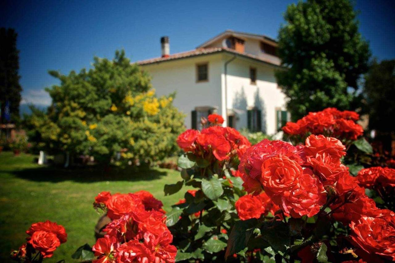 Villa Rossini Lucca Exterior foto